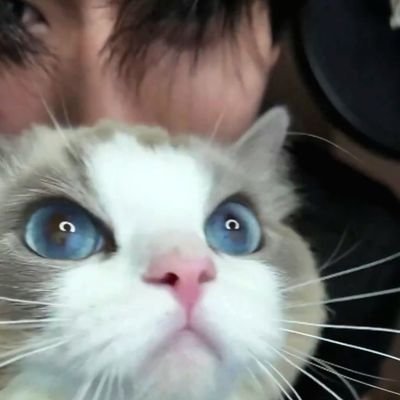 💌 love is so intuitive | thai bl | kpop | anime | everything | she/her