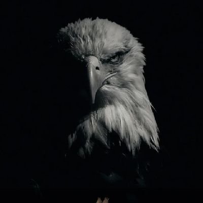 msani_1's profile picture. Trader | 💰 Airdrop Hunter | 📊 Forex Promoter | 🌍 Influencer | 🚀 Sharing Opportunities & Growth