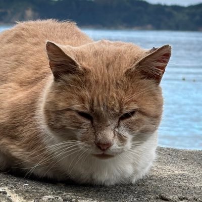 b3duard0's profile picture. 