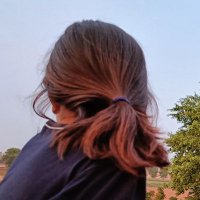 Daal Roti (@catpglu) 's Twitter Profile