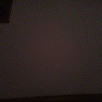 Gio Spera (@gio248906) 's Twitter Profile
