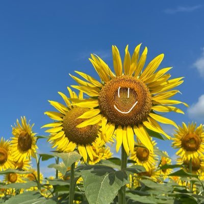 b_rnknon's profile picture. b-monster🥊2025.4〜 ぽんこつ初心者🔰 恵比寿民🦐 師匠が帰ってくるまで続けるのが目標。ただの自己満備忘録です✍🏻〰︎︎