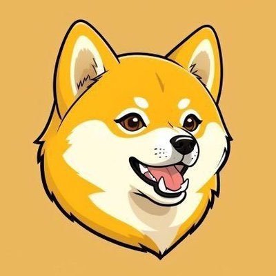 SDOGE is a full-stack Al +blockchain platform built on solana, providing a powerful infrastructure for AI.