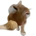 ๋จน๋์ค (@foodcollection_) Twitter profile photo ๋จน๋์ค (@foodcollection_) Twitter profile photo