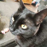 will (@aplace4myself) 's Twitter Profile