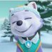 Summer puppy (@pokemon_lovwer) Twitter profile photo Summer puppy (@pokemon_lovwer) Twitter profile photo