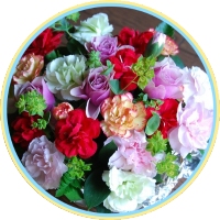 TomTom (@tomtom06707966) 's Twitter Profile Photo