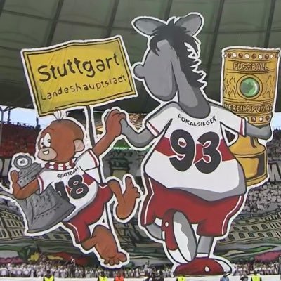 Ganz viel weiß-rote LEIDENschaft ⚪️🔴 | #VfB #NazisRaus #NoAfD #notoracism