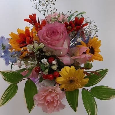 eFl5u1YMHO10191's profile picture. 好きな食べ物　ごはん　ミカン
好きな色　青
星空を見るのが好き　自然が好き
家庭連合信者