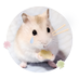 Ი𐑼 (@scaenery) Twitter profile photo Ი𐑼 (@scaenery) Twitter profile photo