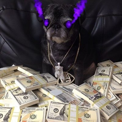 Printerzzz's profile picture. dev | i print monies