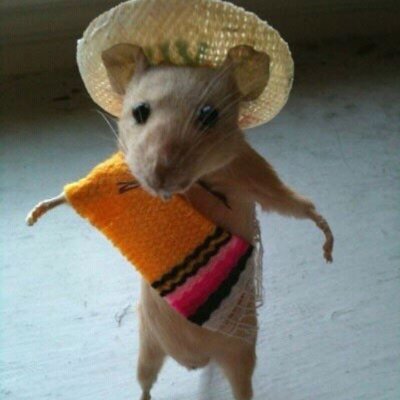 Jacknapier76's profile picture. 