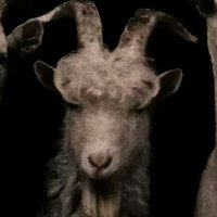 josephwuantrench (@wuanintrenches) 's Twitter Profile