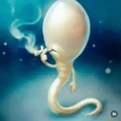 everythingotl's profile picture. 