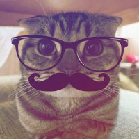 bartholomew (@wokeflowers) 's Twitter Profile Photo bartholomew (@wokeflowers) 's Twitter Profile Photo