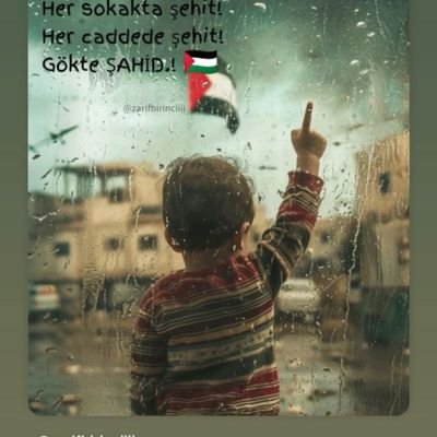 Glten1642501's profile picture. 