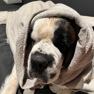 varolise_'s profile picture. 