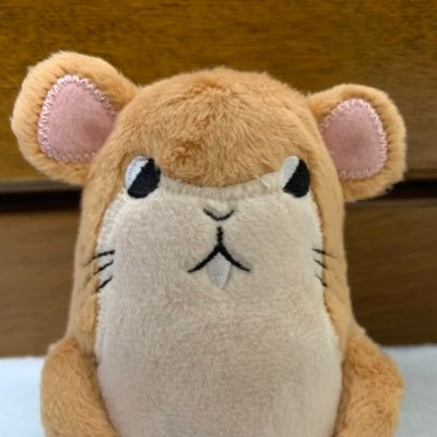 ふぃろさんのプロフィール画像