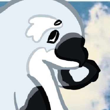 orcaweekly's profile picture. pro animal welfare 🐟
   .•  ˙.           🫧 .˙∘
🌊 i mainly talk ab captive orcas
i post when i feel like it (mondays)
🐋          • .  ˚  . ˙∘              🐬