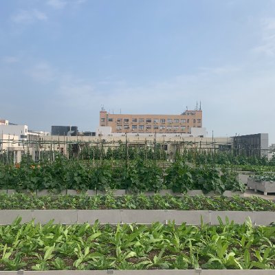 HuBrother1's profile picture. DM me for more.