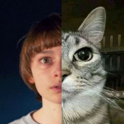i like uhhh strawberries and uhhh will byers and uhhh thats it