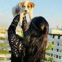 Leroobkau (@leroobkau03466) 's Twitter Profile