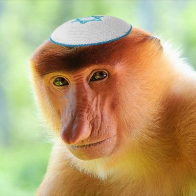 ekiketah's profile picture. 