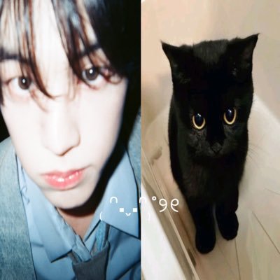 dorungz's profile picture. 6ws or nothing.