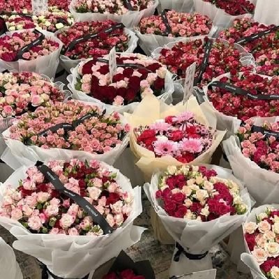 Elmakey1_'s profile picture. HAPPY LIVING