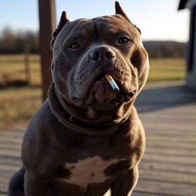 brown379180's profile picture. B.S. in Oilfield Education/GED in Crypto.