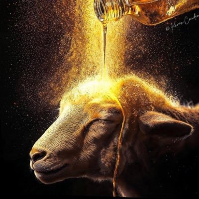FreedomUyi30605's profile picture. 