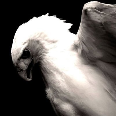 totallylayla's profile picture. 