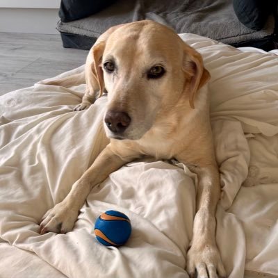 Making my way in the world. Married to @ausimerlin Twitter family @AngelKeely @ourWinniePup @PuppyNumber7 @JessieJaney @ausifairydust @ourjaniepup