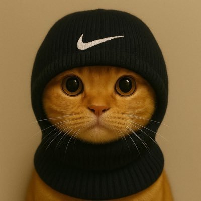 FITCOINSOL's profile picture. absolute chad