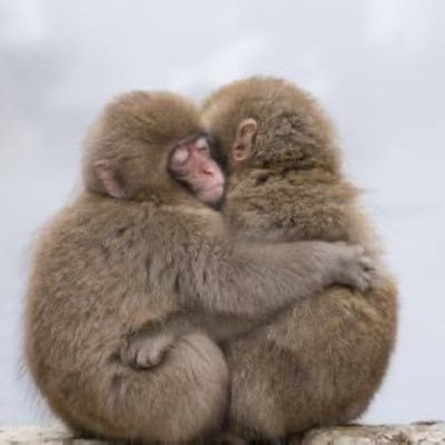 skskskskml's profile picture. 독일사는 대학원생 (꿈: 외노자)