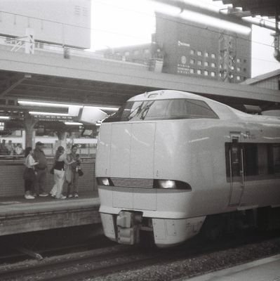 nathalielavi's profile picture. 