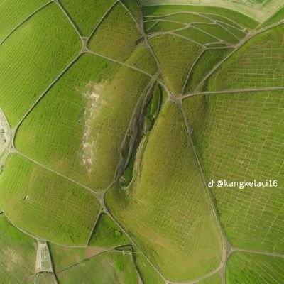 didi1734979's profile picture. 