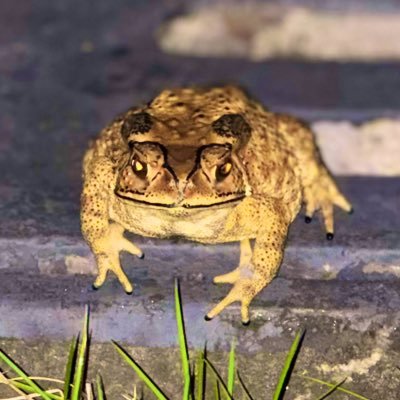 Keepsilencezh's profile picture. 