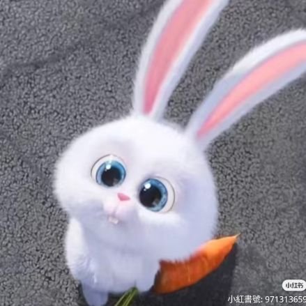 lnywn1281576's profile picture. .☘︎ ݁˖