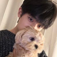 🍈 (@312kkyu) 's Twitter Profile