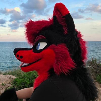 Lv. 27 | ♂️/🐺 | Software Engineer 💻 | EDM & DJing enthusiast | 🗣 🇪🇸🇬🇧 | Shiny 🖤 | 🪡 @TwistedLeopard