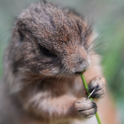 mryk814's profile picture. ﾓﾌﾓﾌしたものになってみんなを笑顔にしたい。