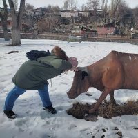 Eylül🌲 (@intkladikasyo) Twitter profile photo