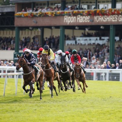 Arsenal - Horse Racing - Formula 1 - Cheltenham Festival 🐎
