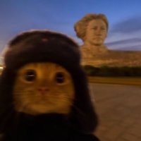 麦先生 (@mai8sir) 's Twitter Profile