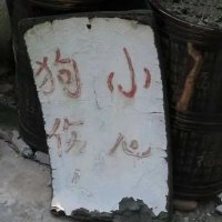 sllll (@w3147215853) 's Twitter Profile Photo