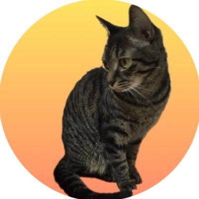 ねこ 猫向け動画 MIX 198】ネズミ、 トカゲ、鳥、 ヒモ 3時間 GAME