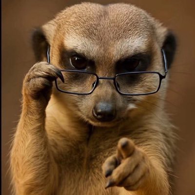 kceekcee51's profile picture. social media