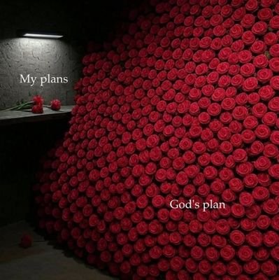 whizzyrichie7's profile picture. TRUST GOD ✝️
wizkid fc 🦅❤️