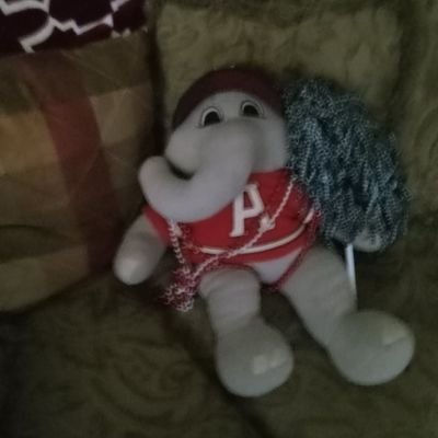 Southerner. Big Bama fan. RTR! Living in Athens GA 💙💙 Cat lover. 🚫🚫NO DM's *****
please